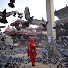 A woman feeding maize grains to pigeons at Basantapur Durbar Square, Kathmandu, Nepal on Wednesday, janauary 29, 2019. Basantapur Durbar Square is one of the three Durbar Squares in the Kathmandu Valley, which are listed as a UNESCO World Heritage Sites.